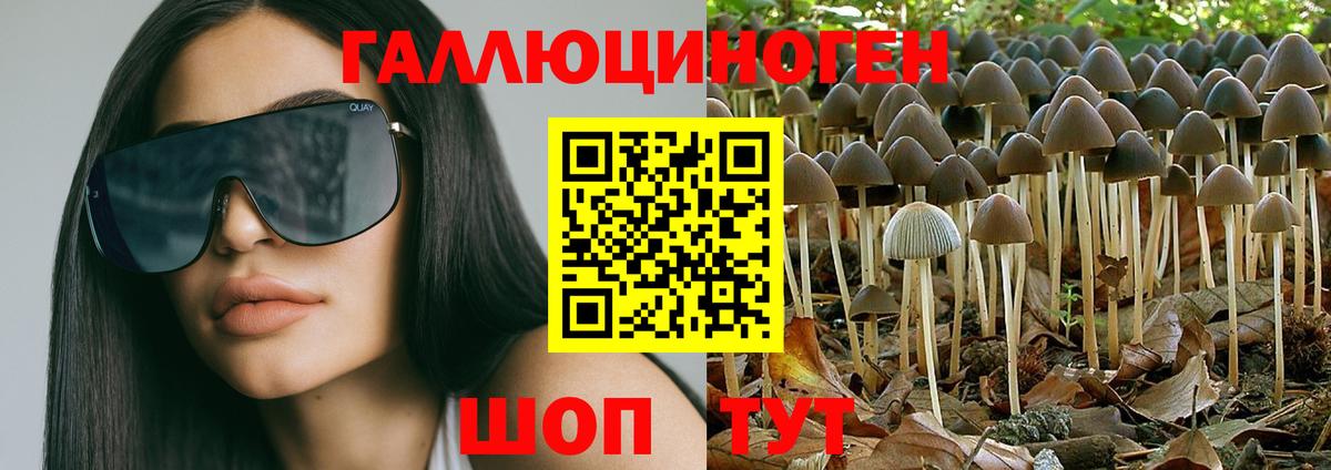 Лосино-Петровский  Вход с VPN  APVP СОЛЬ   ГАШ  Канабис  МЕФ кристаллы  COCAIN  NBOMe 