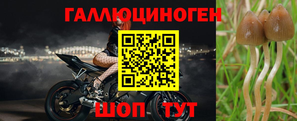 Лосино-Петровский  Псилоцибиновые грибы мухоморы  Псилоцибиновые грибы мицелий  Вход с VPN 